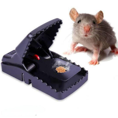Mouse Trap, Pack Of 3