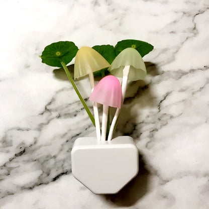 Night Light – Color-Changing Sensor Lamp with Dusk-to-Dawn Auto On/Off, Plug-in Night Light for Kids